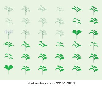 set design elements.
Collection of frame leaf and tree vector.