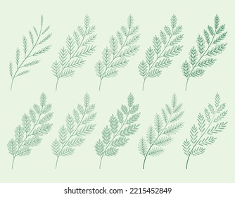 set design elements.
Collection of frame leaf and tree vector.