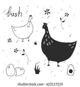 Set of design elements for egg packaging. Chicken. Hand drawn style. 