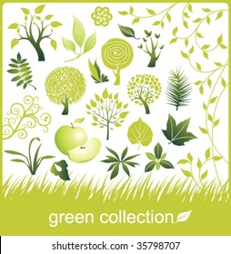 Set of design elements. Green collection. Tree and leaf.