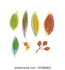 Set of design elements, grunge style. There are red, yellow, orange, and green leaves isolated on white background.