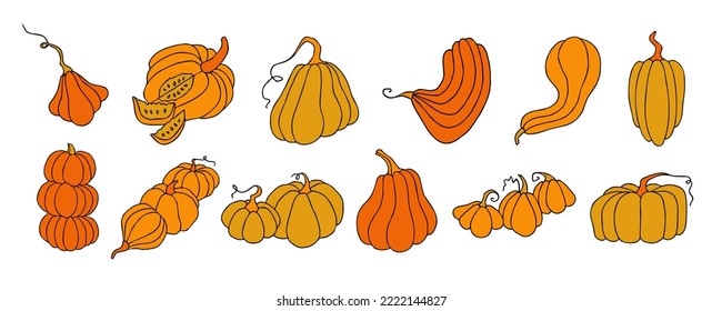 Set of design elements, isolated on white background. Autumn design template, hand drawn pumpkins, flat vector illustration