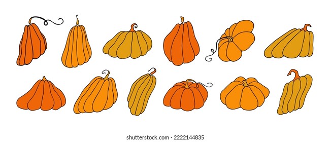 Set of design elements, isolated on white background. Autumn design template, hand drawn pumpkins, flat vector illustration