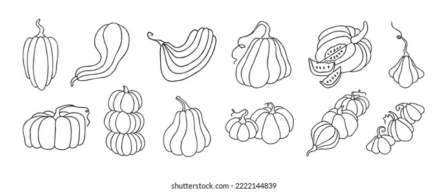 Set of design elements, isolated on white background. Autumn design template, hand drawn pumpkins, flat vector illustration