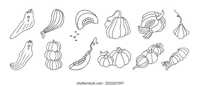 Set of design elements, isolated on white background. Autumn design template, hand drawn pumpkins, flat vector illustration