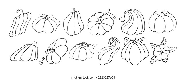 Set of design elements, isolated on white background. Autumn design template, hand drawn pumpkins, flat vector illustration