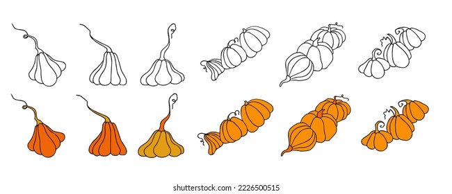 Set of design elements, isolated on white background. Autumn design template, hand drawn pumpkins, flat vector illustration