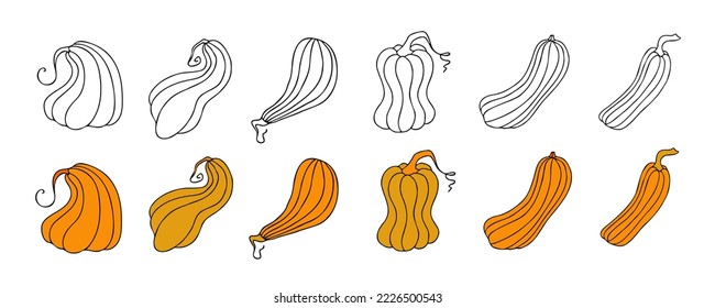 Set of design elements, isolated on white background. Autumn design template, hand drawn pumpkins, flat vector illustration