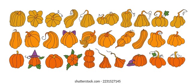 Set of design elements, isolated on white background. Autumn design template, hand drawn pumpkins, flat vector illustration