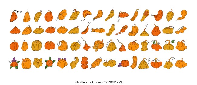 Set of design elements, isolated on white background. Autumn design template, hand drawn pumpkins, flat vector illustration