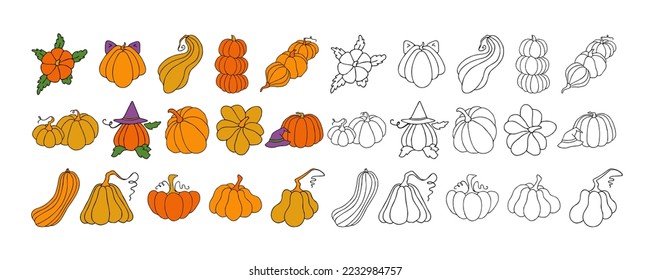 Set of design elements, isolated on white background. Autumn design template, hand drawn pumpkins, flat vector illustration