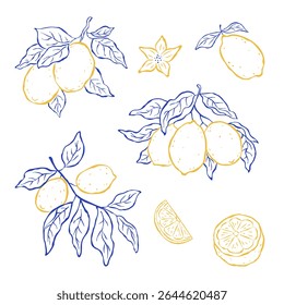 Set design elements of lemon fruits hanging on a branches on white background. Sketch italian style. Flat vector illustration. Mediterranean life. Ideal for card, poster, print, cover