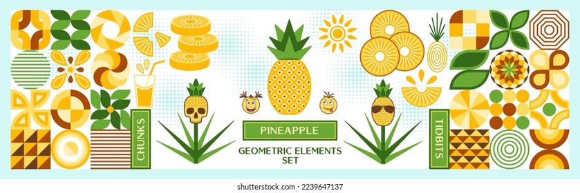 Set of design elements, logo with pineapple in simple geometric style. Abstract shapes. Good for branding, decoration of food packaging, cover design, decorative print, background.