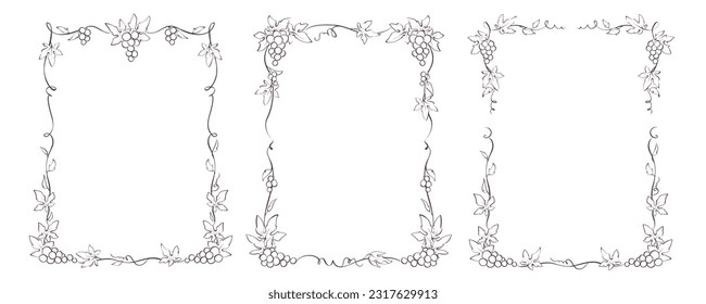 Set of design elements with vine. Vector graphic illustration, frames for wine label design	