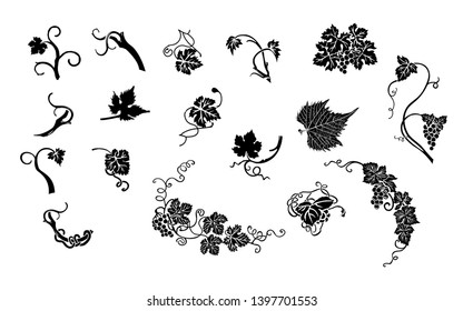 Set of design elements - vine, vineyard and grapes.