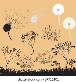 Set of design elements with wither flowers, grass and dandelions