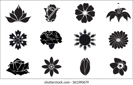 set of design flower icons  rose, lily, camomile, daisy, tulip, cornflower, Transvaal daisy, carnation, narcissus, sunflower