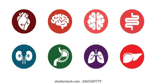 set design of human organs, heart, liver, stomach, intestines, kidneys, lungs, brain, outline style, solid and colored, editable vector eps 10.