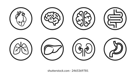 Set Design von menschlichen Organen, Herz, Leber, Magen, Darm, Nieren, Lunge, Gehirn, Outline-Stil, fest und farbig, editierbare Vektorgrafik EPS 10.