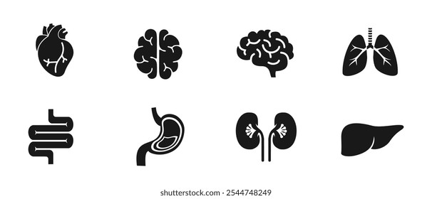 definir design de órgãos humanos, coração, fígado, estômago, intestinos, rins, pulmões, cérebro, estilo de contorno, sólido e colorido, vetor editável eps 10.