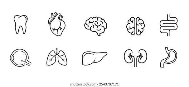 set design of human organs, tooth, heart, liver, stomach, intestines, eye, kidneys, lungs, brain, outline style, solid and colored, editable vector eps 10.