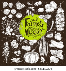 Set design template food, spice, sketch style, cardboard. Vegetables. Farmer market. Lettering, calligraphy logo. Hand drawn vector illustration