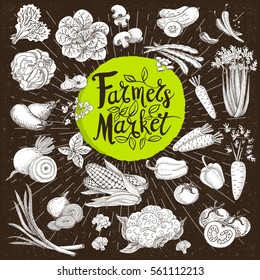 Set design template food, spice, sketch style, cardboard. Vegetables. Farmer market. Lettering, calligraphy logo. Hand drawn vector illustration