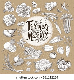 Set design template food, spice, sketch style, cardboard. Vegetables. Farmer market. Lettering, calligraphy logo. Hand drawn vector illustration