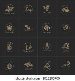 set design templates golden logo and emblems - herbs and spices. Different spices icon. Logos in trendy linear style isolated on white background
