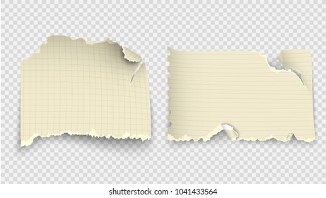 set of design templates torn paper with place for text