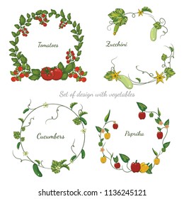 set of design with vegetables