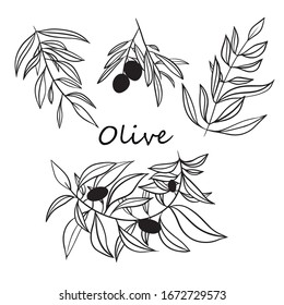 Set of designed olive branches with leaves