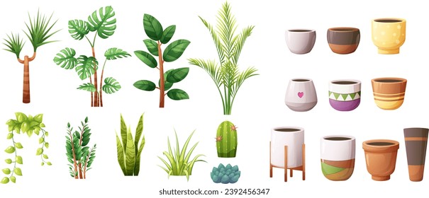 Set, designer of flower pots and indoor green plants. Snake plant, zz plant, spider plant, majesty palm, dracaena, golden pothos, monstera, ficus elastica, echeveria, cactus