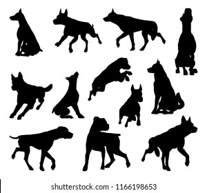 A set of detailed animal silhouettes of a pet dog