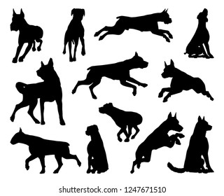 A set of detailed animal silhouettes of a pet dog