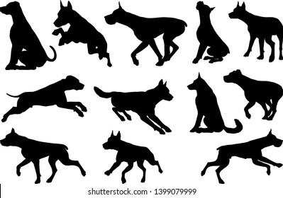 A set of detailed animal silhouettes of a pet dog