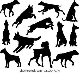 A set of detailed animal silhouettes of a pet dog