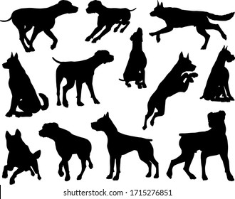 A set of detailed animal silhouettes of a pet dog