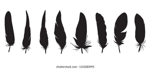 Set of detailed black feather silhouette isolated on a white background. Laconic and stylish illustration. Monochrome vector