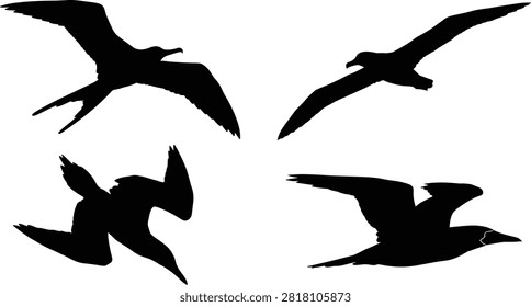 A set of detailed black silhouettes featuring various soaring seabirds in flight, including gannets, albatrosses, and frigatebirds. Ideal for marine wildlife graphics, coastal ecosystem illustrations, nature protection logos, and travel designs.