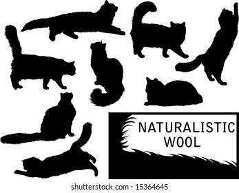 Set of detailed cat's silhouettes