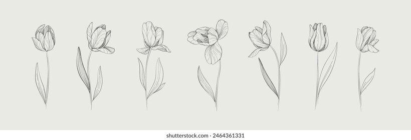 Set of detailed drawing various tulips and leaves. Luxury floral collection for wedding invitation, wallpaper art or save the date card. Botanical vector