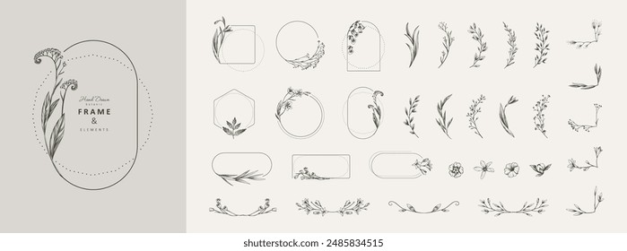 Set of detailed floral design elements. Delicate botanical frames, with flowers and leaves, intricate hand drawn details. Botanical vector illustration for invitation, save the date card