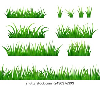 Conjunto Borde de prado de hierba verde fresco detallado. Hierba de campo de plantas de primavera o verano. Fondo de hierba. Ilustración de vector