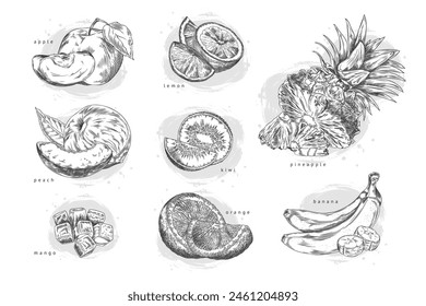 A set of detailed fruit sketches including apple, lemon, peach, kiwi, pineapple, mango, orange, and banana. Vector illustrations for culinary or educational use.