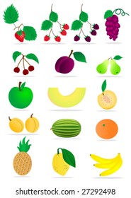 Set of detailed fruits on white background