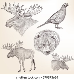 Set of detailed hand drawn animals