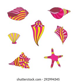 Set of detailed hand-drawn shells and starfish