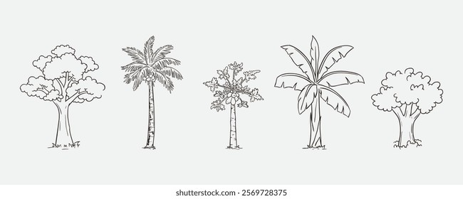 Set of detailed hand-drawn sketches depicting five distinct tree species, including tropical and deciduous varieties. Perfect for botanical studies, design projects, or educational purposes.