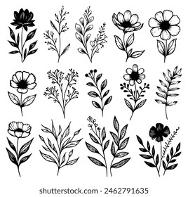 Set of Detailed Monochromatic Black And White Hand Drawn Floral And Botanical Illustration Elements